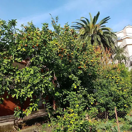 Steinbauer Apartamento
